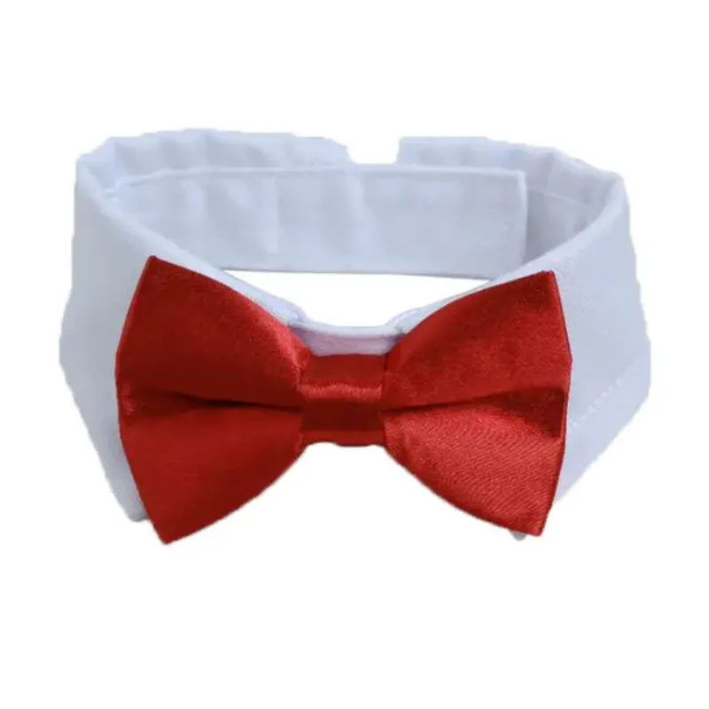 Bowtie with Collar