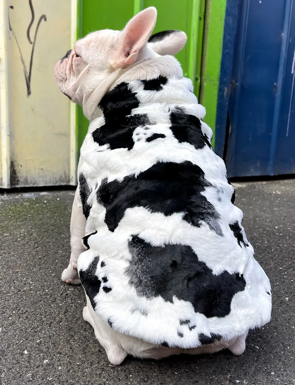 B!TCH I'M A COW FAUX FUR DOG JACKET - BLACK