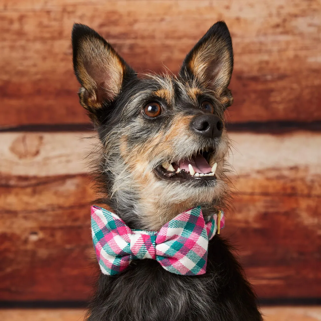 Dog and Cat Bowtie: Callie Plaid Flannel