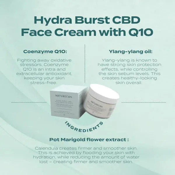 Hydra Burst CBD Face Cream with Q10