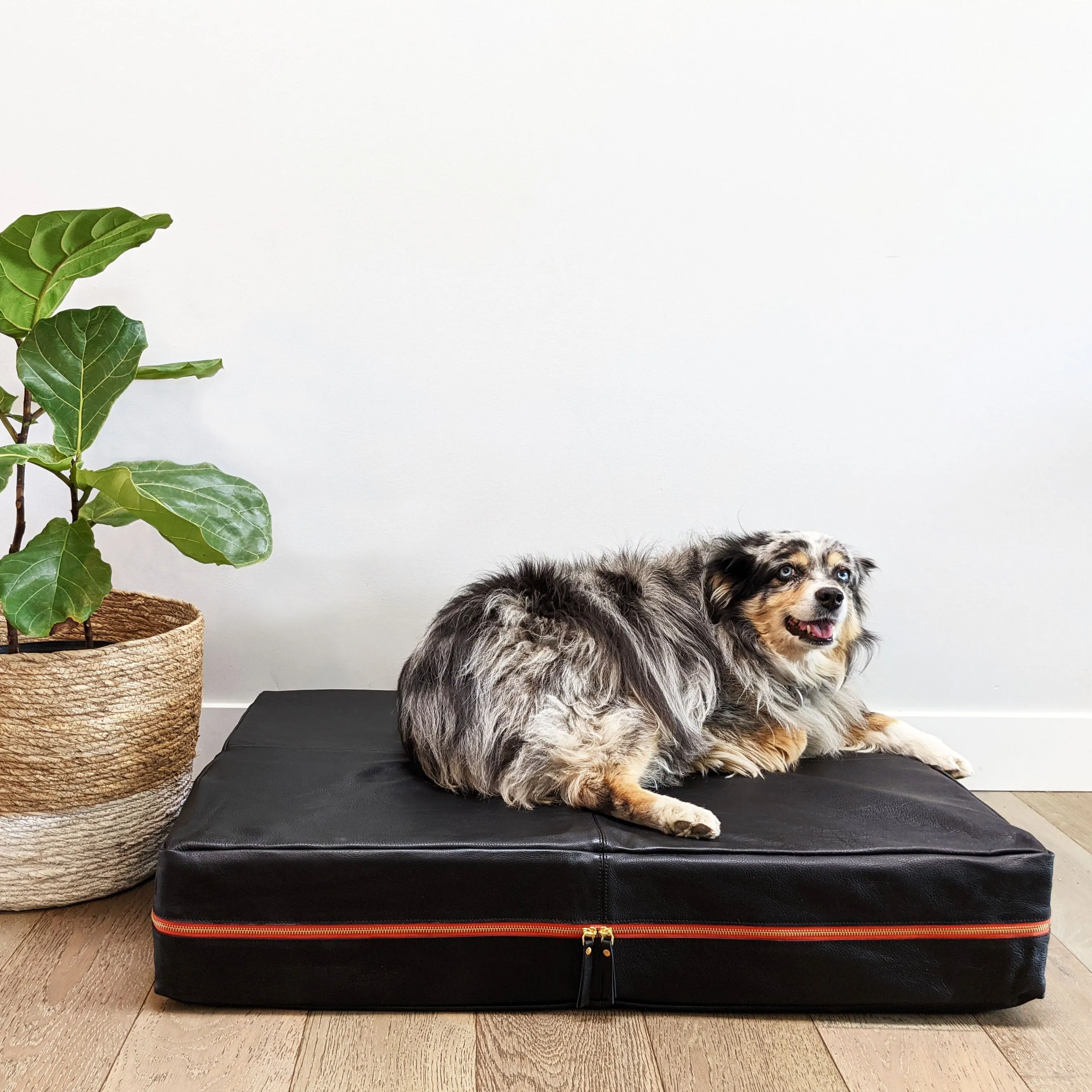 Le Dog Company - Le Bed Modern Dog Bed