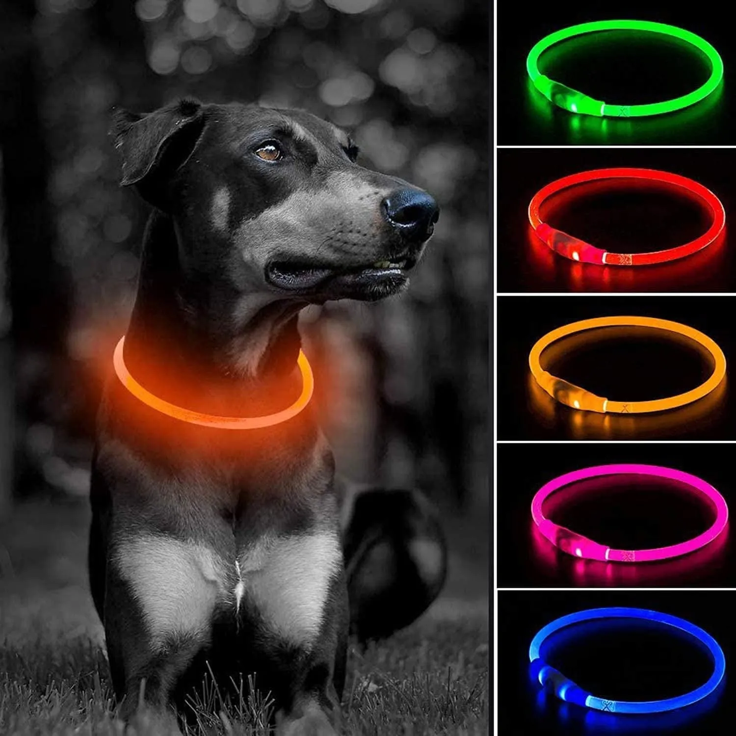 Light up Dog Collars