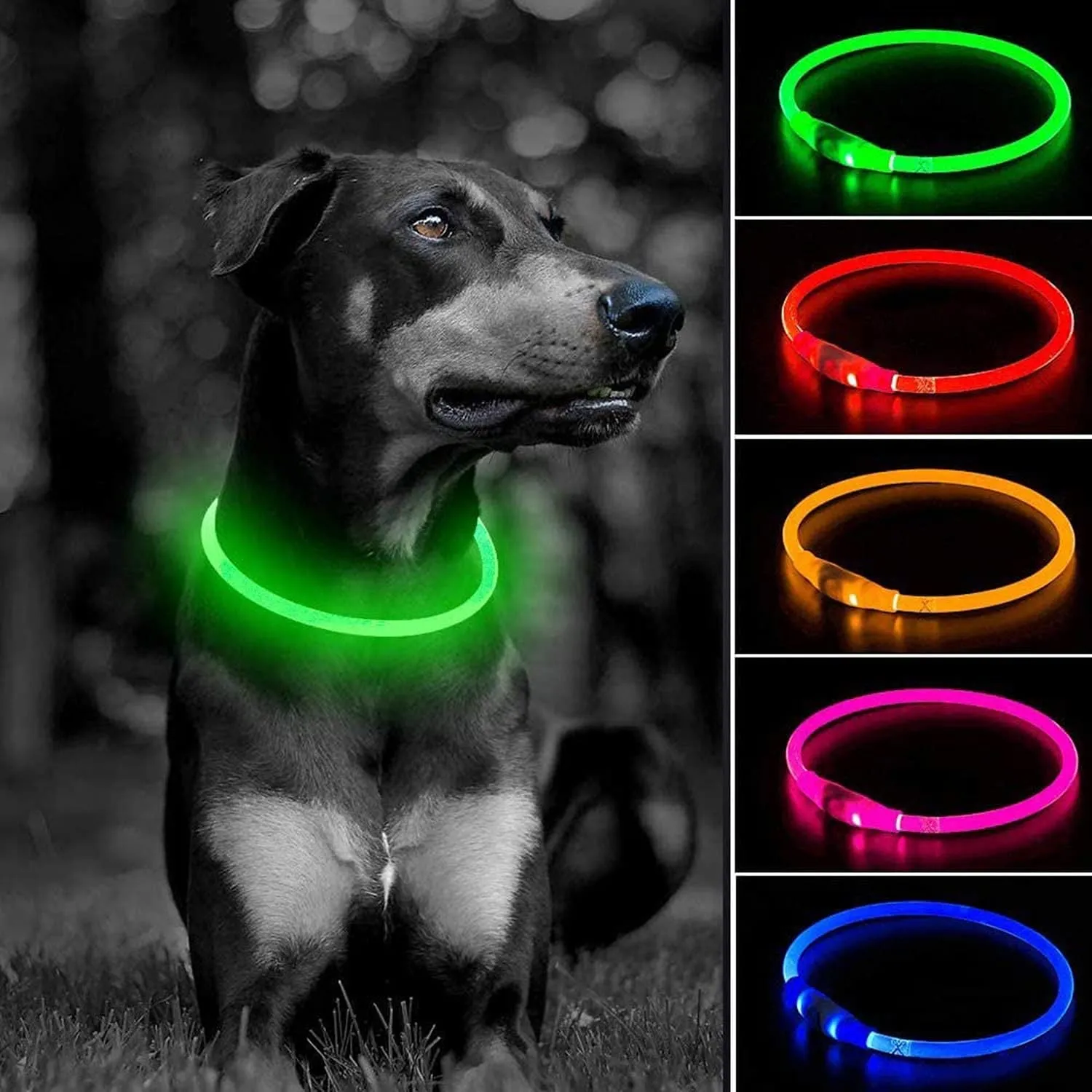 Light up Dog Collars