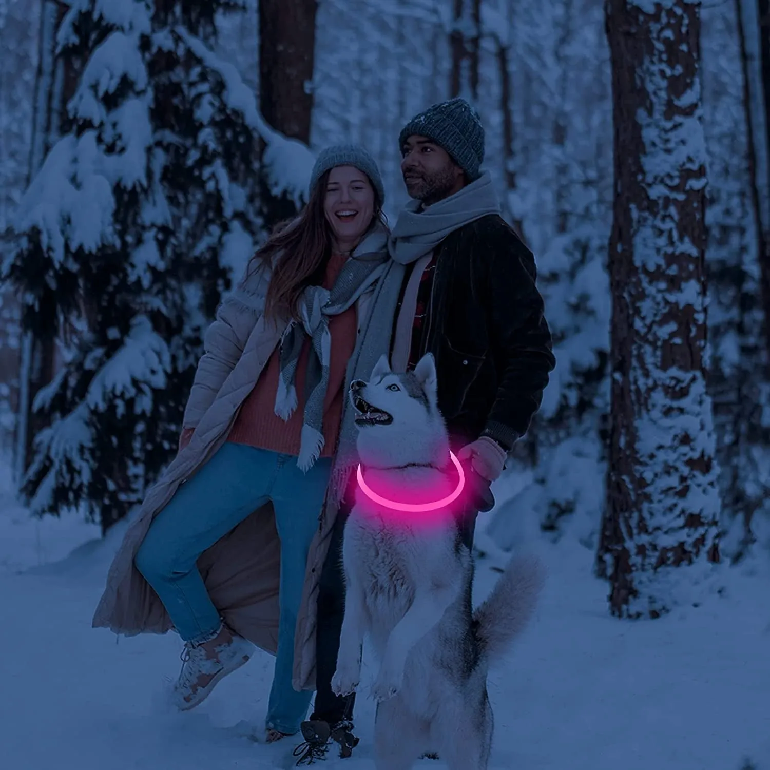 Light up Dog Collars