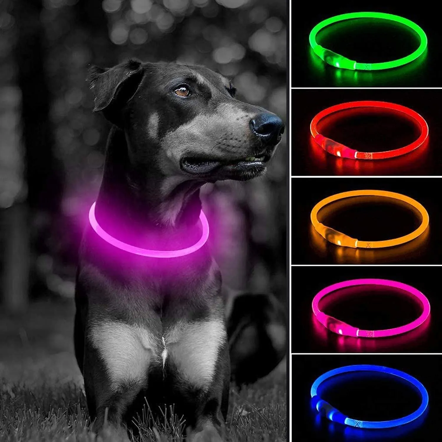 Light up Dog Collars