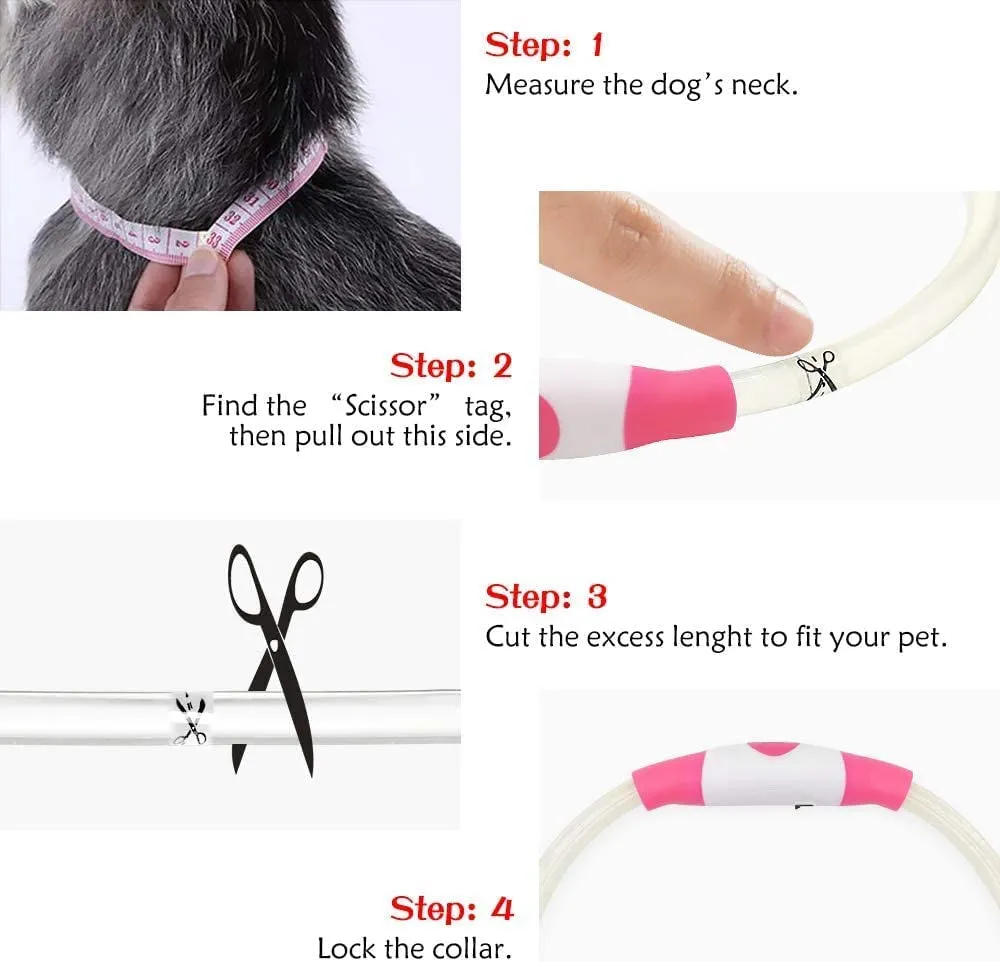 Light up Dog Collars