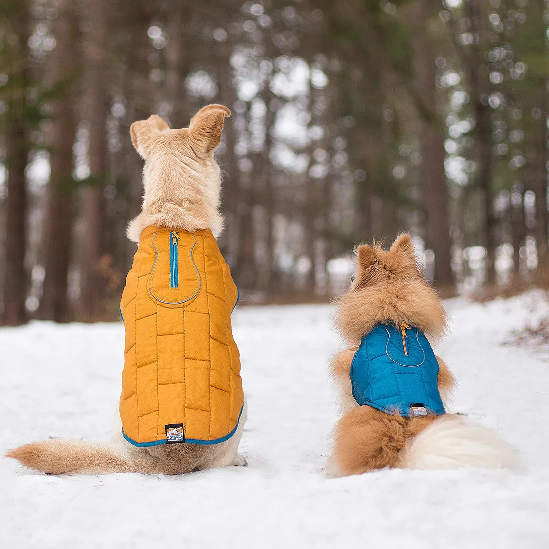 Loft Dog Jacket - Reversible - Ink Blue/Sea Glass