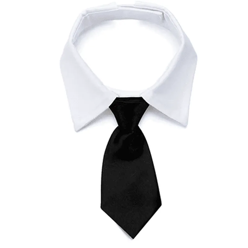 Long Tie with Collar