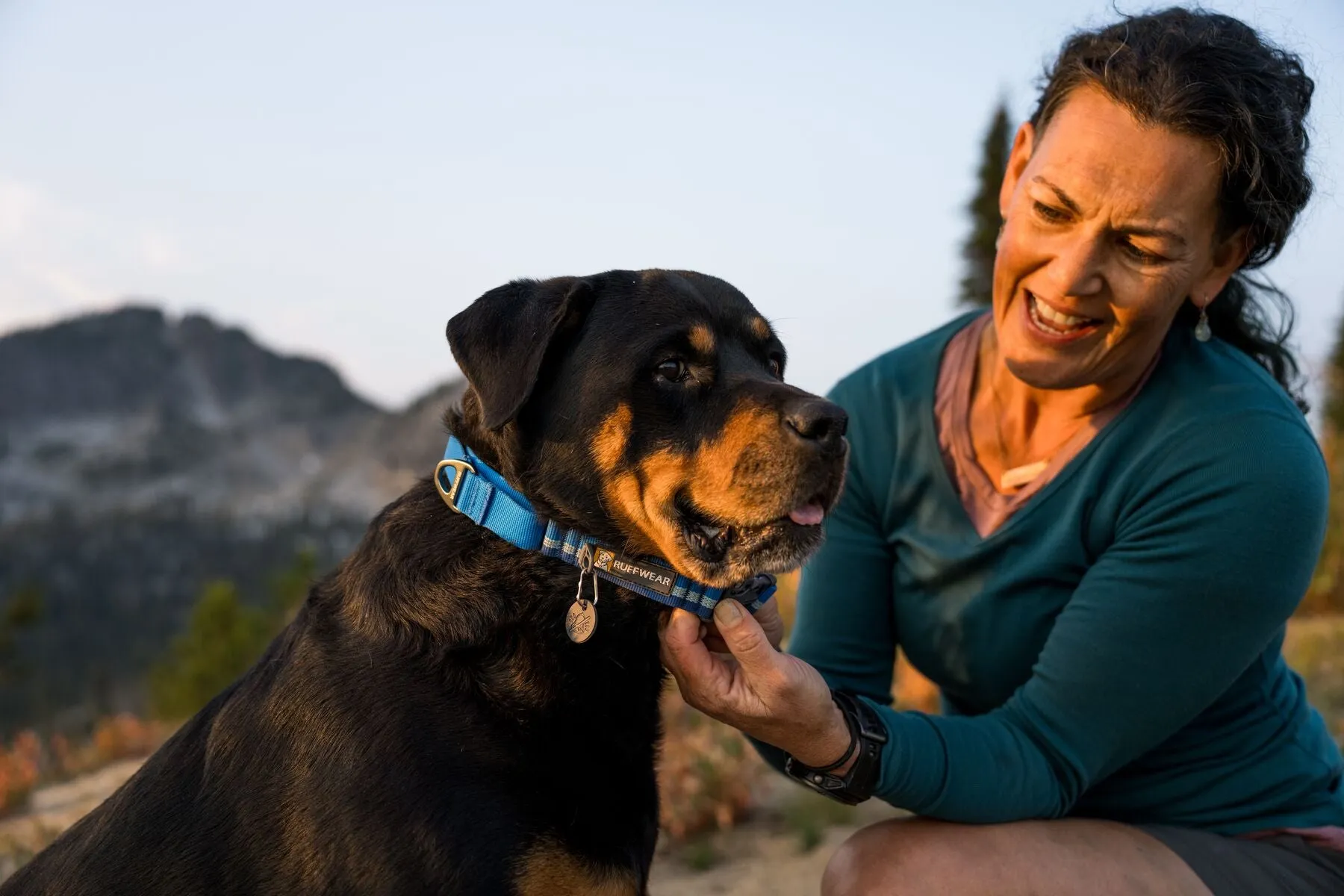 Ruffwear - Web Reaction Martingale Collar