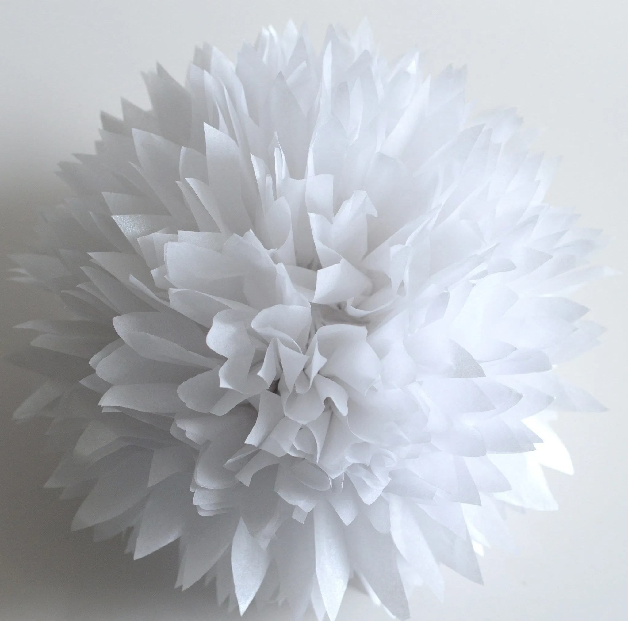 Shimmery Pearl white paper pom poms