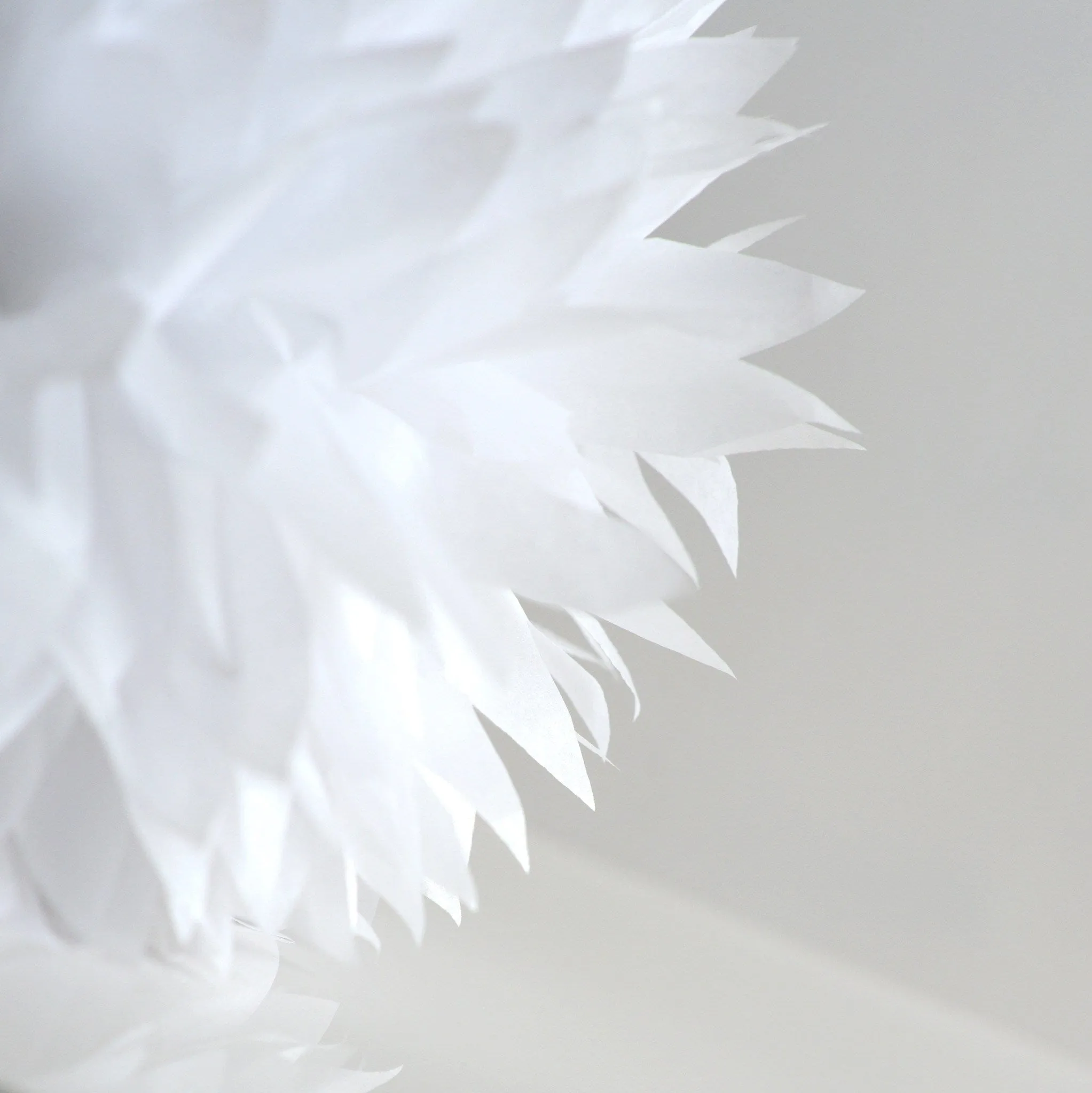 Shimmery Pearl white paper pom poms