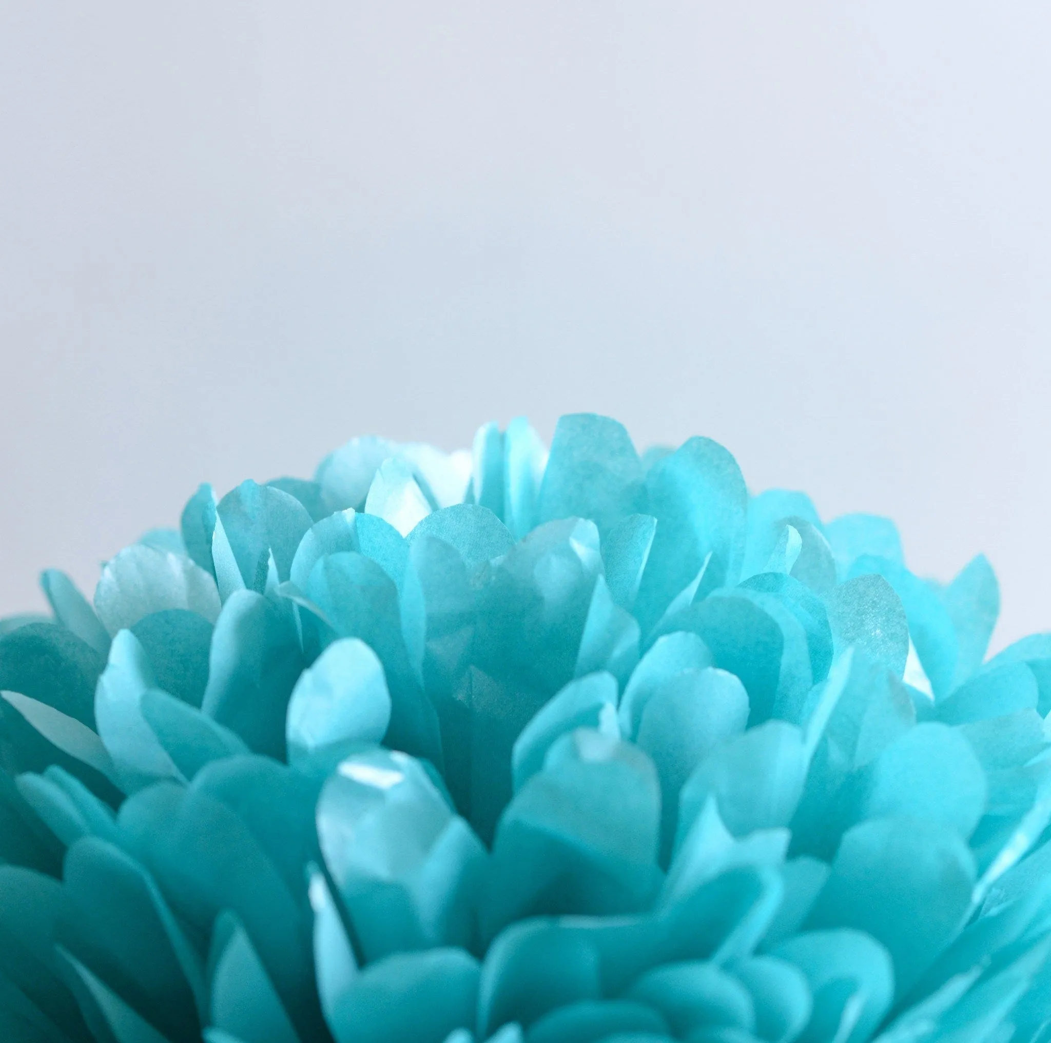 Shimmery turquoise paper pom poms